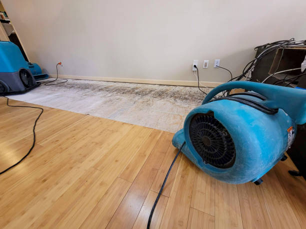 Reliable Basement Flood Cleanup contractor in Leesburg, VA by Hirex Water Damage