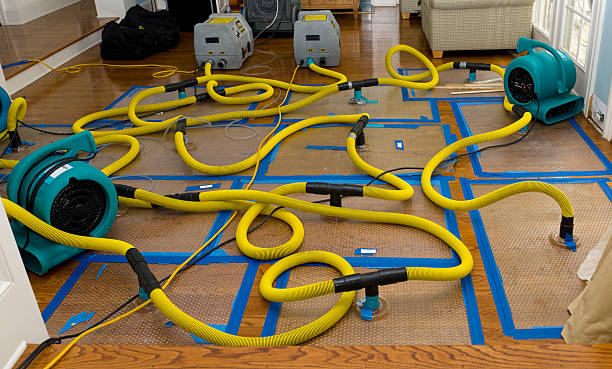 Professional Basement Flood Cleanup technician working in Leesburg, VA